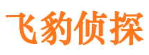 长岭市私家侦探